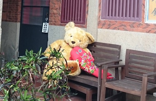 Jinsha Bed & Breakfast | Pearl B&B