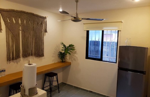 San Miguel Apartment | Pelikanos on 10 Avenue Downtown -Red Parrot-