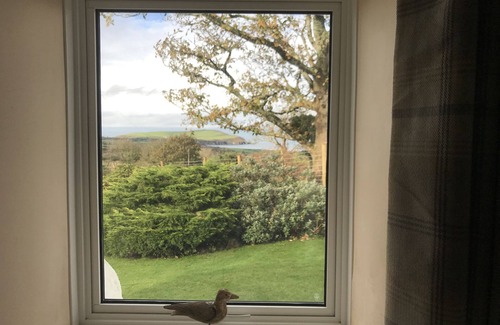 Newport Cottage | Penllain