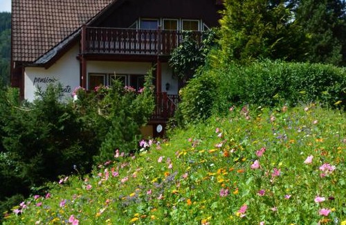 Spindleruv Mlyn House | Pension Andante
