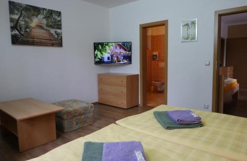 Harrachov House | Pension Aspen Harrachov