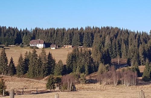 Horska Kvilda House | Pension Helena Honesová