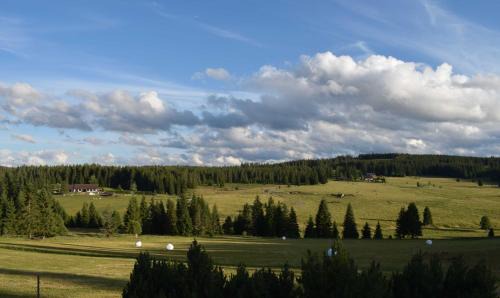Horska Kvilda House | Pension Helena Honesová