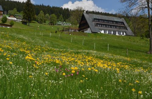 Spindleruv Mlyn House | Pension Krakonoš