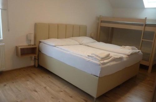Vysoke nad Jizerou House | Pension Pugner
