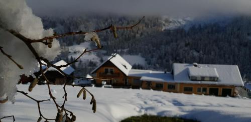 Kleinsolk Hotel | Pension Stieber