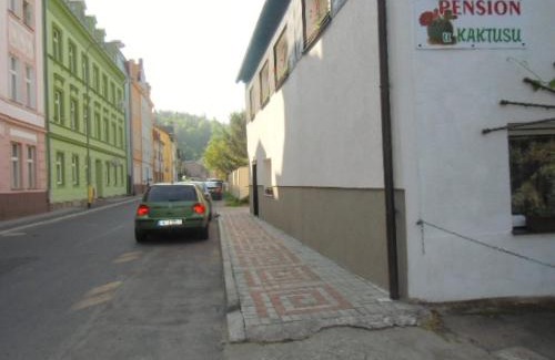 Brezova House | Pension U Kaktusu