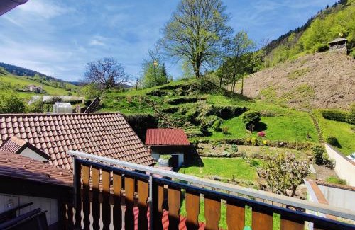 Bad Peterstal-Griesbach House | Pension Zur Rose