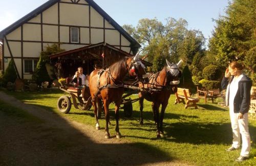 Trzciniec House | Pensjonat Kalina Komorze