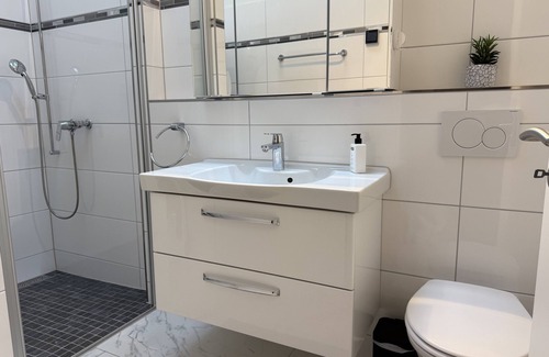 Safenwil Apartment | penthouse swiss escape | rooftop terrace + parking