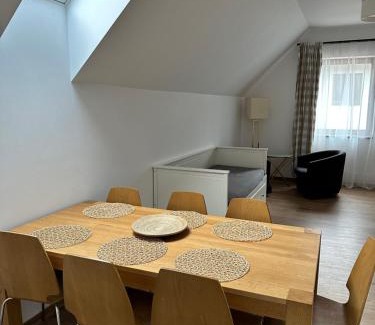 Destne v Orlickych horach House | Penzion Apidae