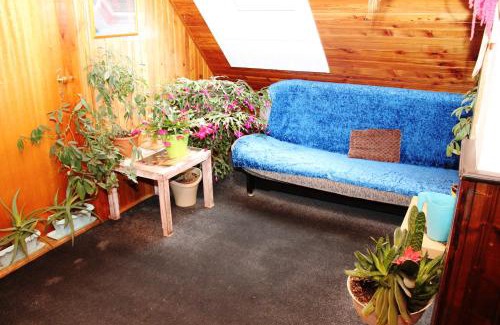 Desna House | Penzion Gentiana