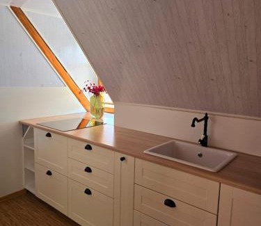 Hejtmankovice Apartment | Penzion Jízdárna Hejtmánkovice