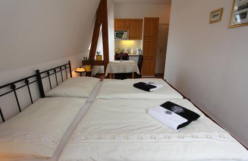 Vranov nad Dyji House | Penzion Jelen Vranov nad Dyjí