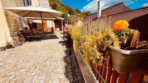 Cesky Krumlov House | Penzion Kapr