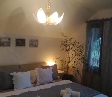 Novy Jicin Hotel | Penzion Lamberk