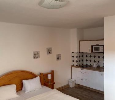 Podebrady House | Penzion Linhart