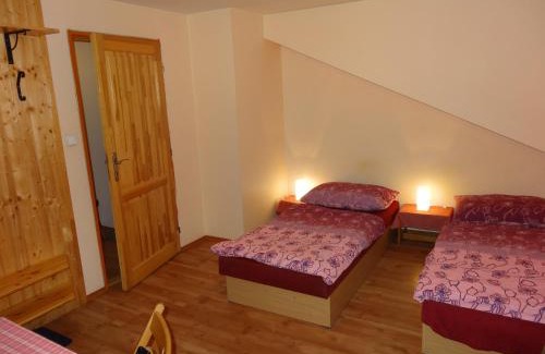 Janov nad Nisou House | Penzion Na Rozcestí