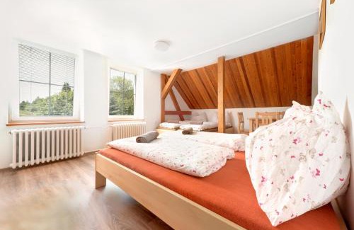Zelezna Ruda House | Penzion Samoty