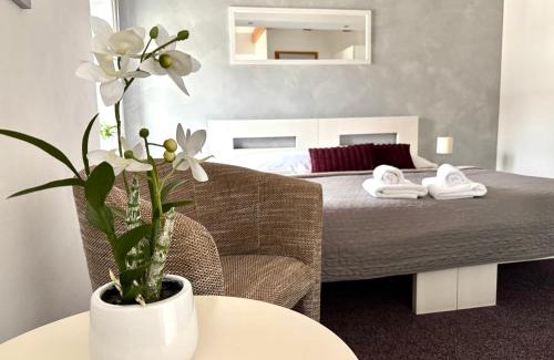 Cerna V Posumavi House | Penzion Sen