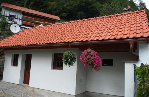 Rozmberk nad Vltavou House | Penzion U Haničky