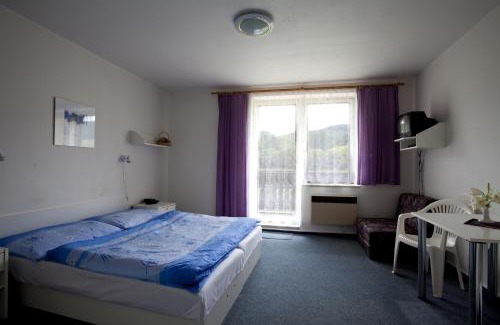 Velke Losiny House | Penzion Vaněk