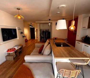 Saint-Lambert Apartment | Pepite Coeur 7ème Tout Confort - Clim - Parking