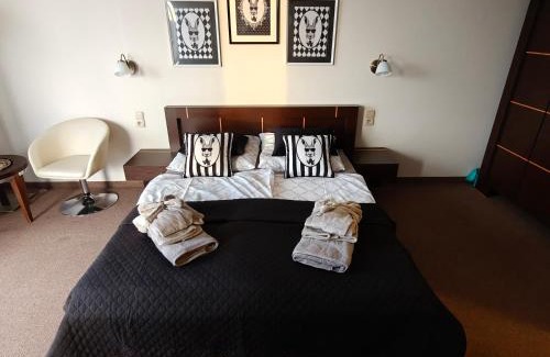 Dzielnica Uzdrowiskowa Apartment | "PERŁA" Apartament prywatny w Diva Spa Hotel