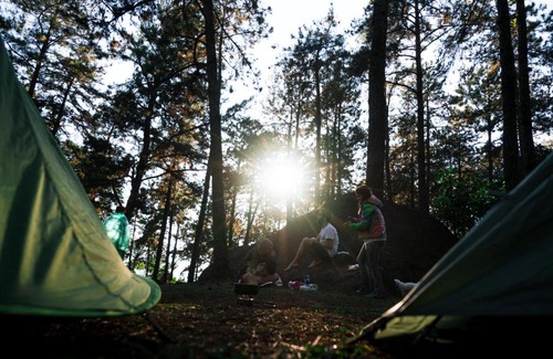 Walnut Shade Other | Persimmon Grove Retreat and Camp