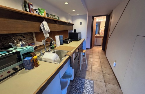 Snowmass Village Apartment | Pet friendly 1 bedroom, in the heart of Snowmass Vlg