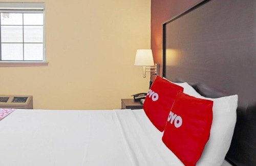 McAllen Hotel | Pet-Friendly McAllen Hotel with a Smoke-Free Environment! Onsite Parking!