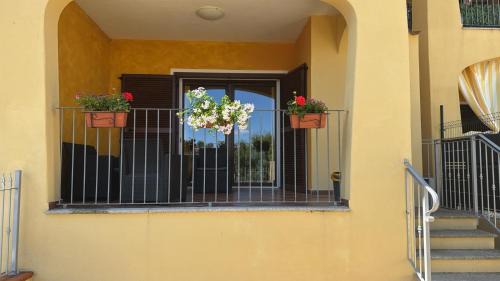 Tiriddo House | Peter Pan`s Oasis