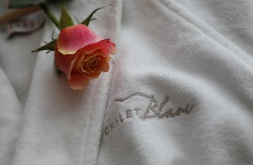 Cervinia Apartment | Petit Chalet Blanc Cervinia