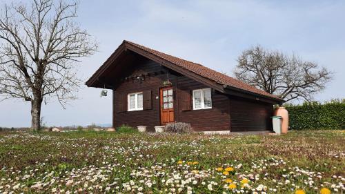 Sciez House | Petit chalet proche Lac Léman