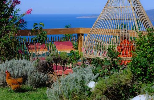 Calcatoggio Apartment | Petit coin de paradis, vue panoramique mer &montagne, piscine privée.