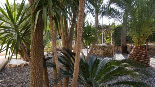 Leporano Marina Bed & Breakfast | Phalanthos B&B