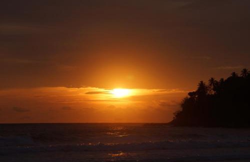 Rawai Hotel | Phuket Five Fortune Holiday Hotel