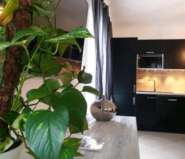 Moltifao House | Pianotolu - Rez de villa entre mer et montagne