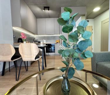 Krakow Apartment | Piast Apartment - free parking