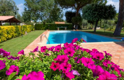 Rosignano Marittimo Apartment | Piccolo Eden