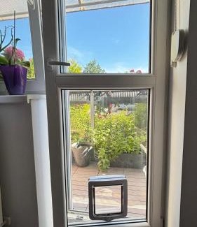 Piestany Apartment | Piestany Comfortable Apartment