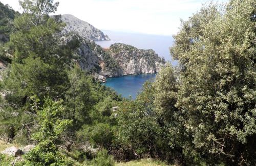 Mantoudi-Limni-Agia Anna House | Pili Country House