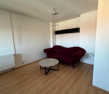 Pilsen Apartment | Pilsen flat