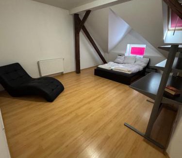 Pilsen Apartment | Pilsen flat