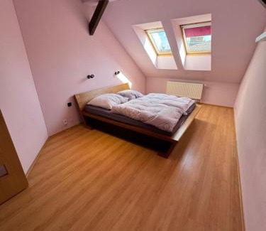 Pilsen Apartment | Pilsen flat