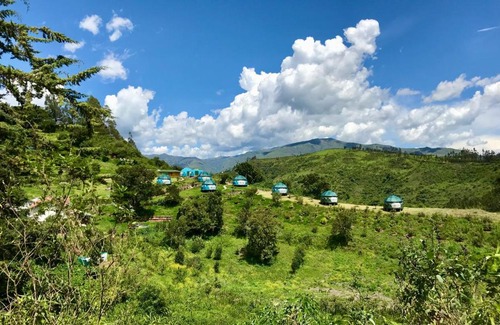 Mollepata Other | Pincopata Ecocamp