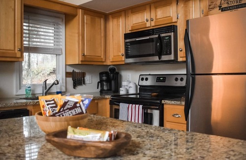 Warm Springs Ski Chalet | Pine Mountain Chalet Retreat Near Callaway Gardens