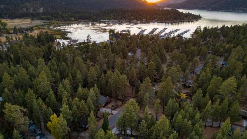 Big Bear Lake House | Pinetree Place by AvantStay Group Cabin w Hot Tub Minutes to the Lake
