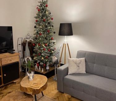 Srodmiescie Apartment | Piotrkowska2828 apartament.