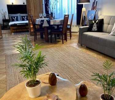Srodmiescie Apartment | Piotrkowska2828 apartament.